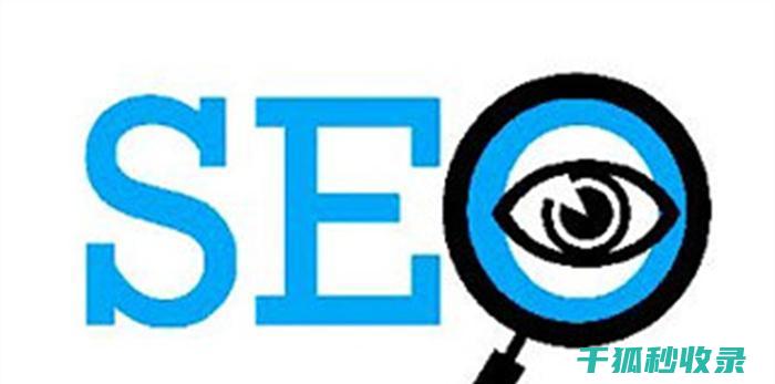 SEO专家揭秘：搜索引擎优化的高级技术与策略 (seo专家是什么意思)