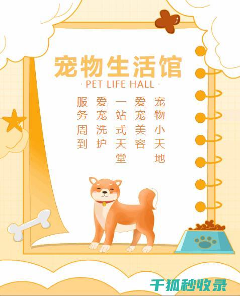 宠物生活常识大全