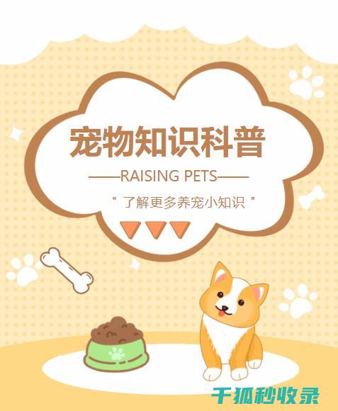宠物生活常识：如何为宠物选择合适的玩具 (宠物生活常识大全)