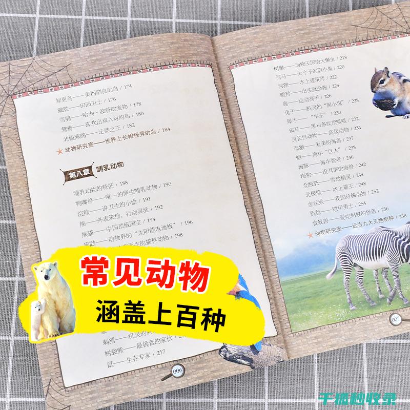 读后感