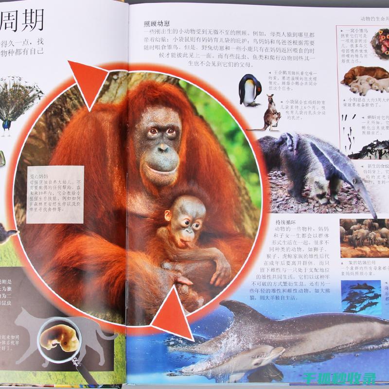 探索地球上动物的繁殖方式及后代成长过程
