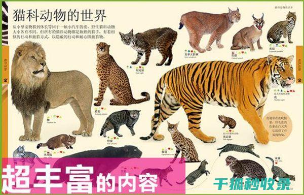 全书