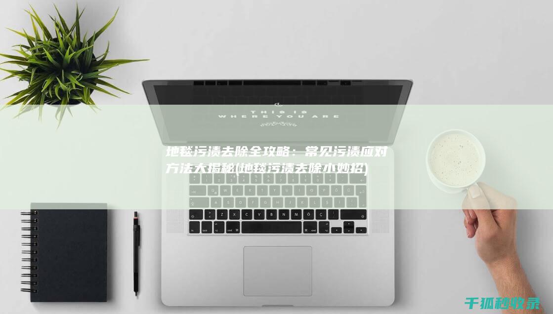 地毯污渍去除全攻略：常见污渍应对方法大揭秘 (地毯污渍去除小妙招)