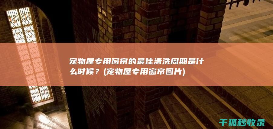 宠物屋专用窗帘的最佳清洗周期是什么时候？ (宠物屋专用窗帘图片)
