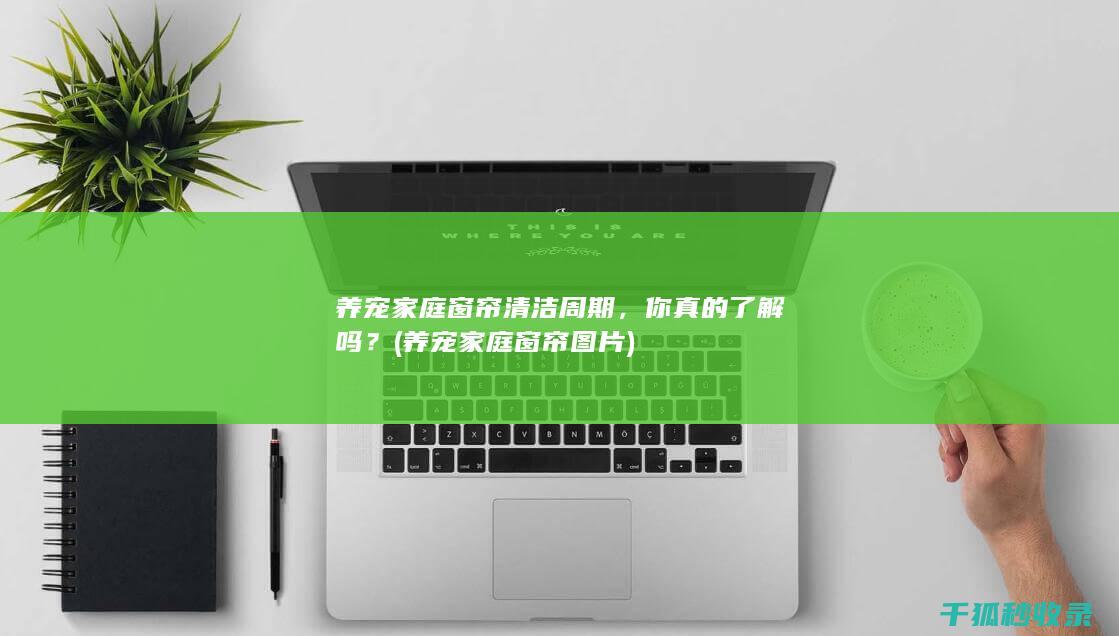 养宠家庭窗帘清洁周期，你真的了解吗？ (养宠家庭窗帘图片)
