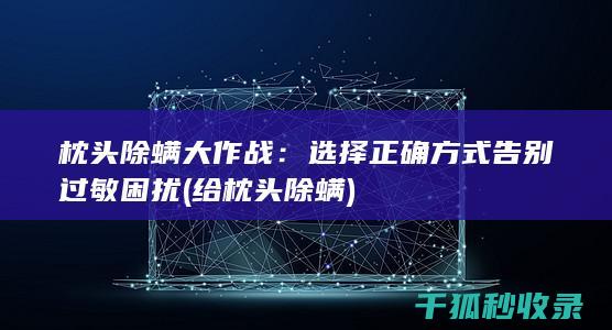 枕头除螨大作战：选择正确方式告别过敏困扰 (给枕头除螨)