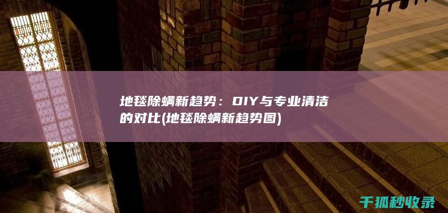 地毯除螨新趋势：DIY与专业清洁的对比 (地毯除螨新趋势图)
