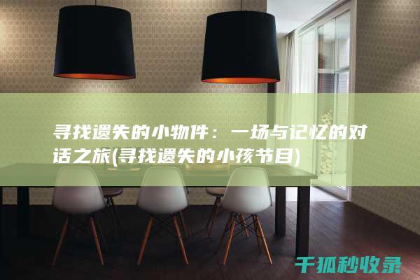 寻找遗失的小物件：一场与记忆的对话之旅 (寻找遗失的小孩节目)