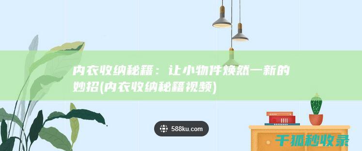内衣收纳秘籍：让小物件焕然一新的妙招 (内衣收纳秘籍视频)