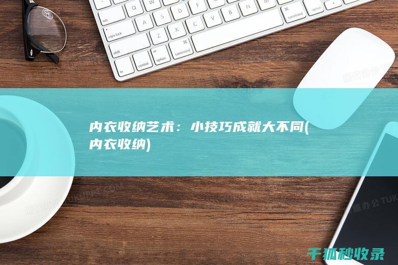 内衣收纳艺术：小技巧成就大不同 (内衣 收纳)