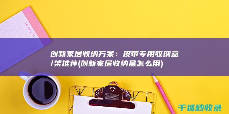 创新家居收纳方案：皮带专用收纳盒/架推荐 (创新家居收纳盒怎么用)