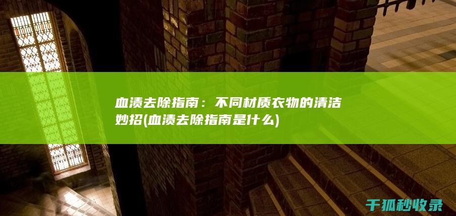 血渍去除指南：不同材质衣物的清洁妙招 (血渍去除指南是什么)