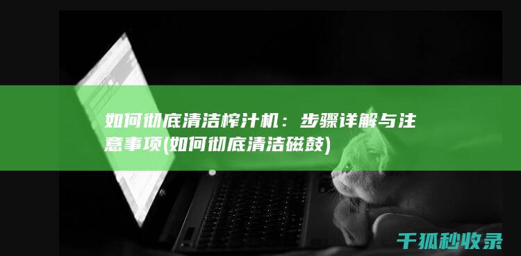 如何彻底清洁榨汁机：步骤详解与注意事项 (如何彻底清洁磁鼓)