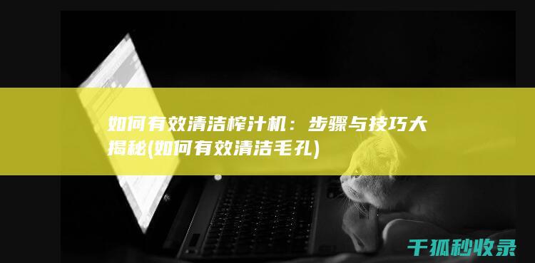 如何有效清洁榨汁机：步骤与技巧大揭秘 (如何有效清洁毛孔)
