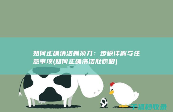 如何正确清洁剃须刀：步骤详解与注意事项 (如何正确清洁肚脐眼)