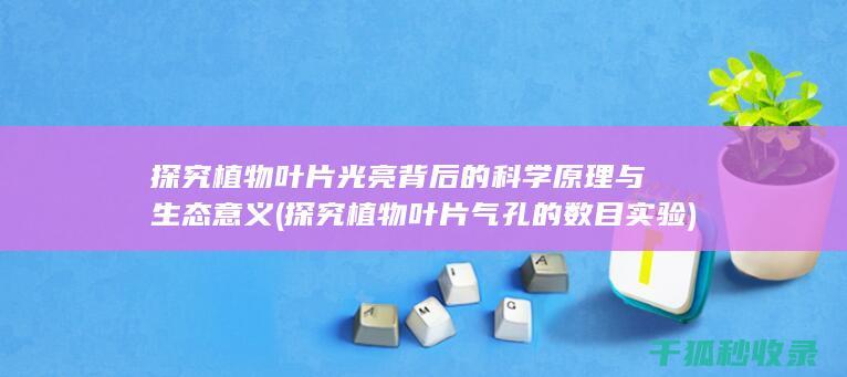 探究植物叶片光亮背后的科学原理与生态意义 (探究植物叶片气孔的数目实验)