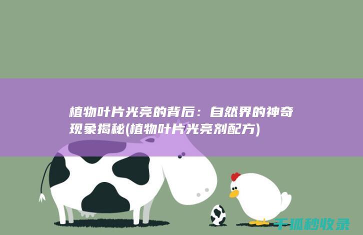 植物叶片光亮的背后：自然界的神奇现象揭秘 (植物叶片光亮剂配方)