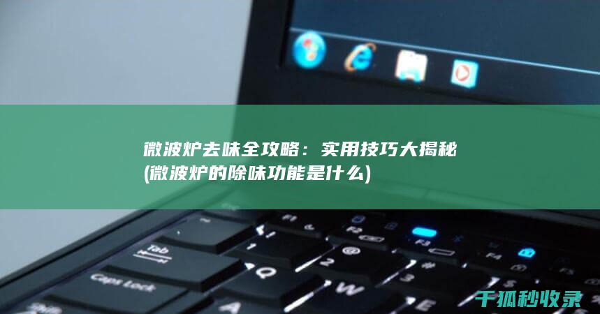 微波炉去味全攻略：实用技巧大揭秘 (微波炉的除味功能是什么)