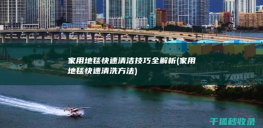 家用地毯快速清洁技巧全解析 (家用地毯快速清洗方法)