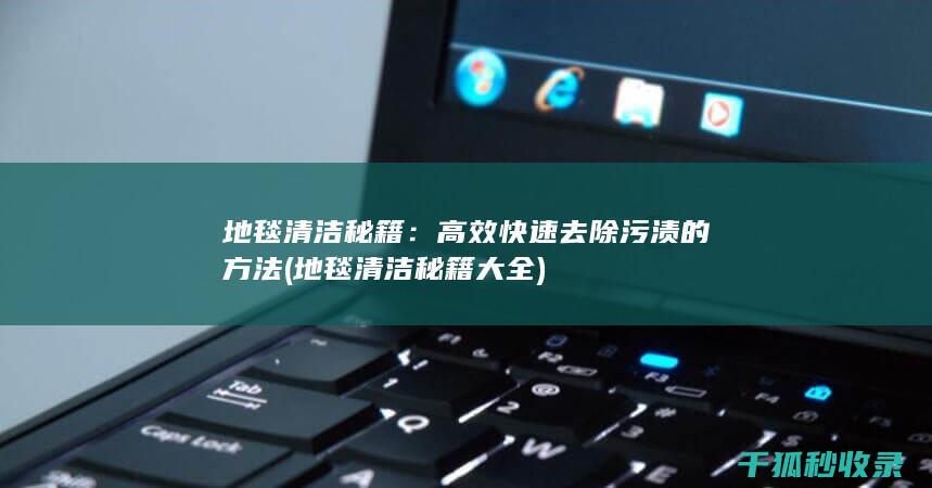 地毯清洁秘籍：高效快速去除污渍的方法 (地毯清洁秘籍大全)