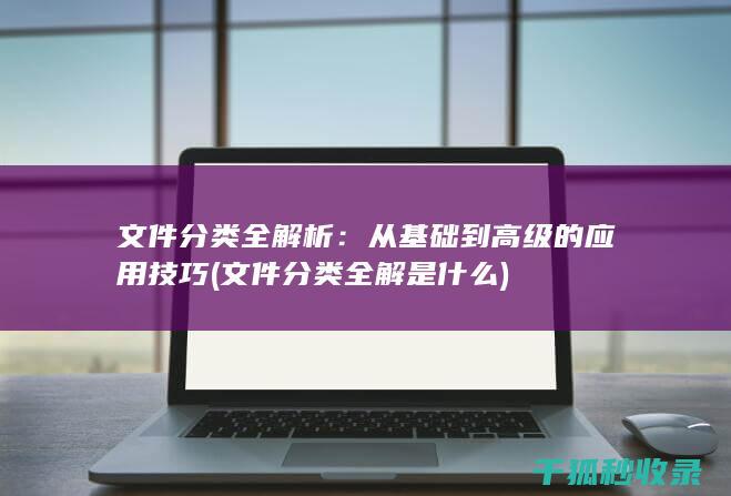文件分类全解析：从基础到高级的应用技巧 (文件分类全解是什么)