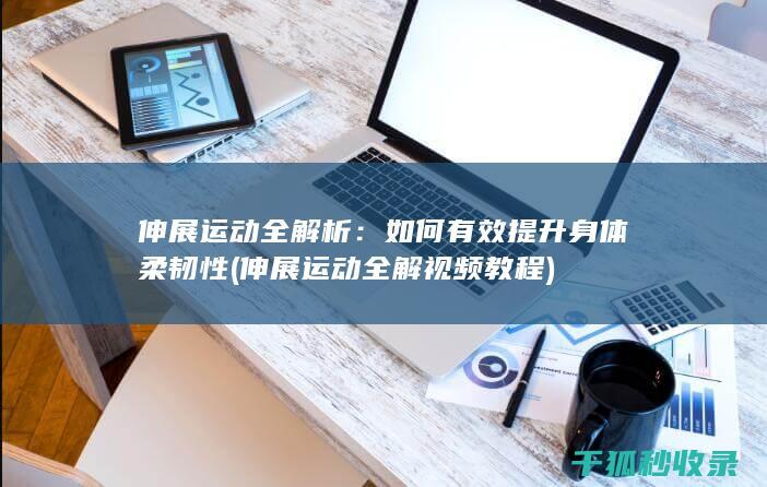 伸展运动全解析
