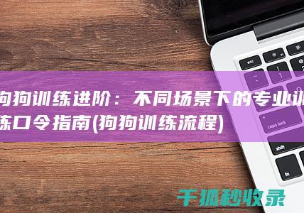 狗狗训练进阶：不同场景下的专业训练口令指南 (狗狗训练流程)