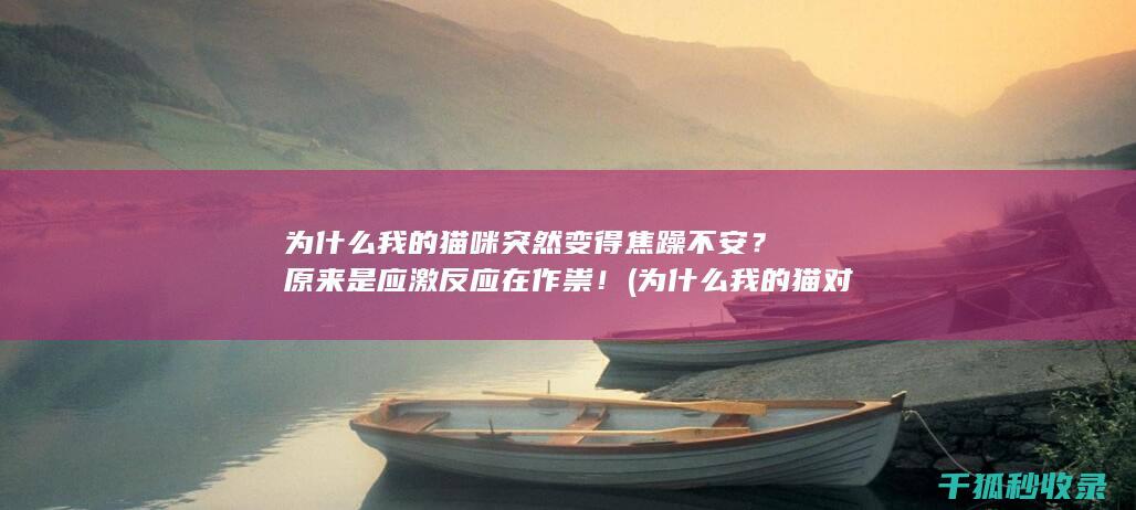 为什么我的猫咪突然变得焦躁不安？原来是应激反应在作祟！ (为什么我的猫对猫薄荷不感兴趣)