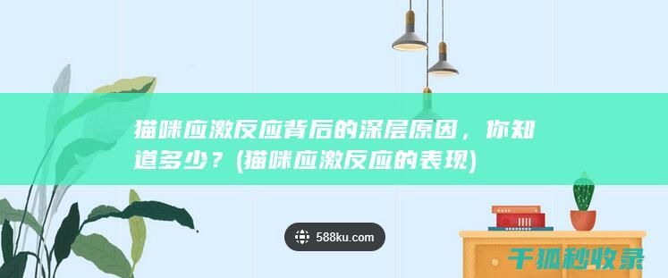 猫咪应激反应背后的深层原因，你知道多少？ (猫咪应激反应的表现)