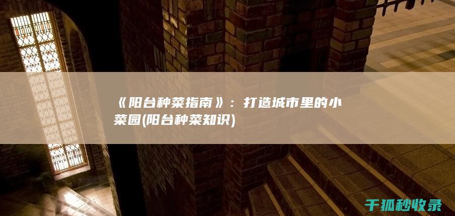 《阳台种菜指南》：打造城市里的小菜园 (阳台种菜知识)