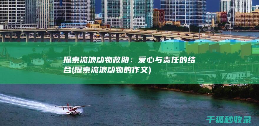 探索流浪动物的作文