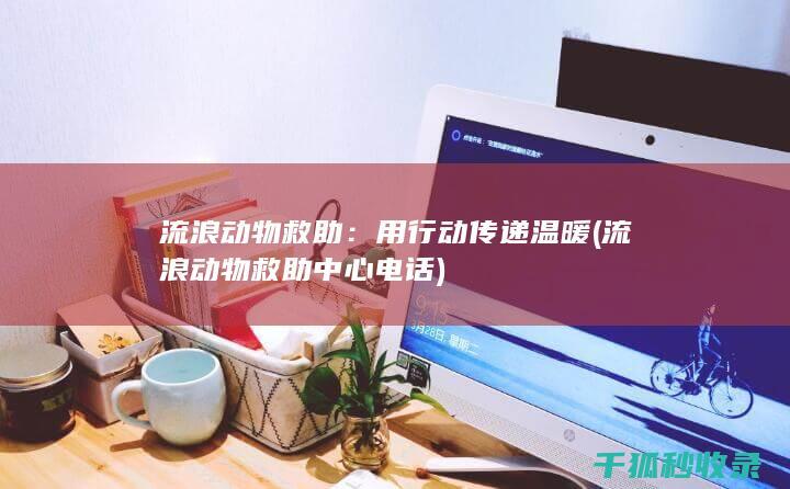 流浪动物救助：用行动传递温暖 (流浪动物救助中心电话)