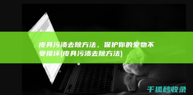 皮具污渍去除方法，保护你的爱物不受损坏 (皮具污渍去除方法)