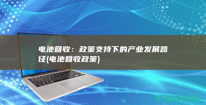 政策支持下的产业发展路径