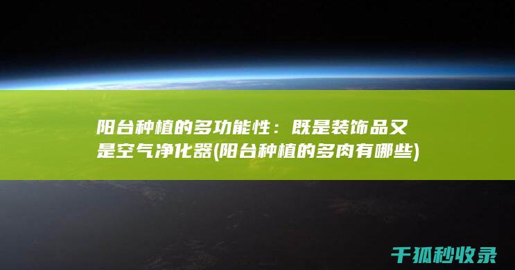 既是装饰品又是净化器
