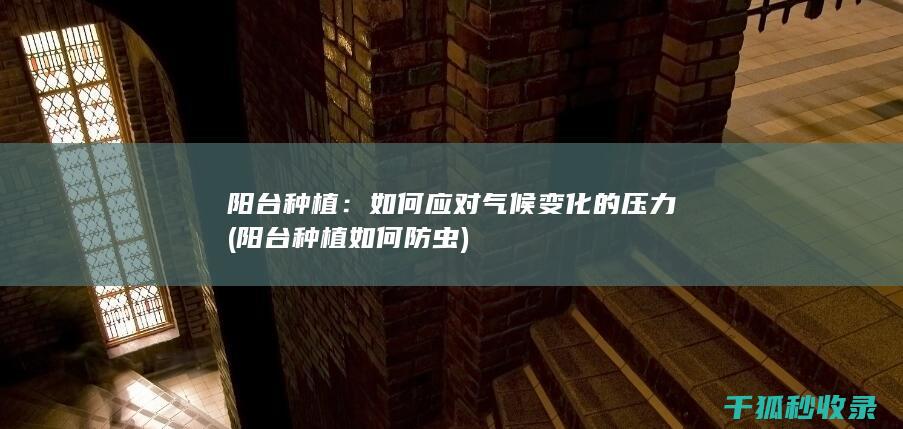 阳台种植：如何应对气候变化的压力 (阳台种植如何防虫)