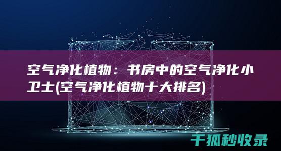 空气净化植物：书房中的空气净化小卫士 (空气净化植物十大排名)