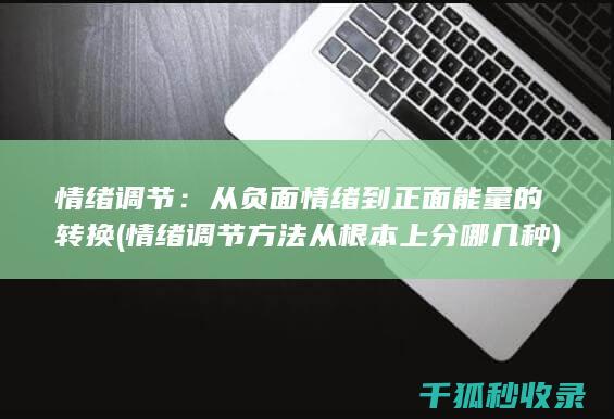 情绪调节：从负面情绪到正面能量的转换 (情绪调节方法从根本上分哪几种)