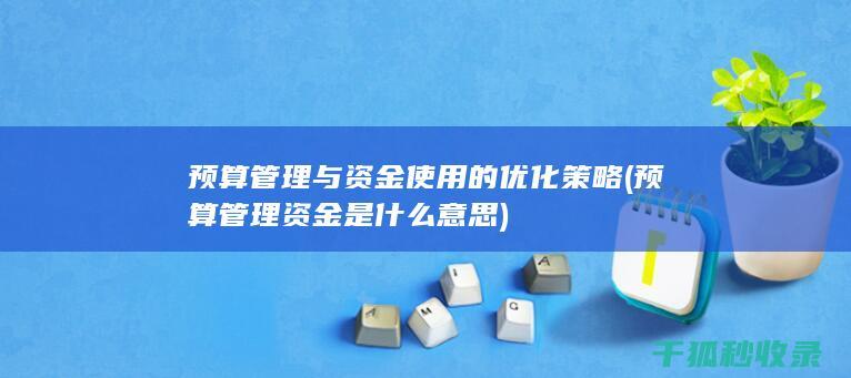 预算管理与资金使用的优化策略 (预算管理资金是什么意思)