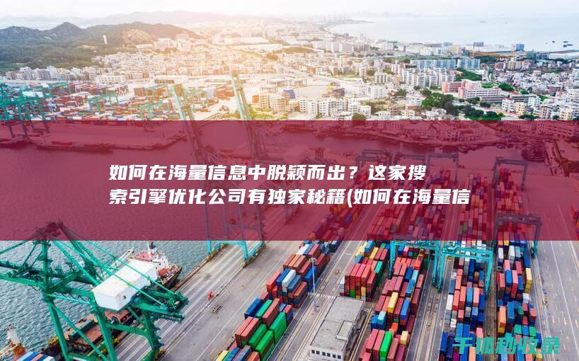如何在海量信息中脱颖而出？这家搜索引擎优化公司有独家秘籍 (如何在海量信息中辨别真伪)