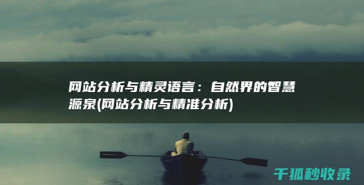 网站分析与精灵语言：自然界的智慧源泉 (网站分析与精准分析)