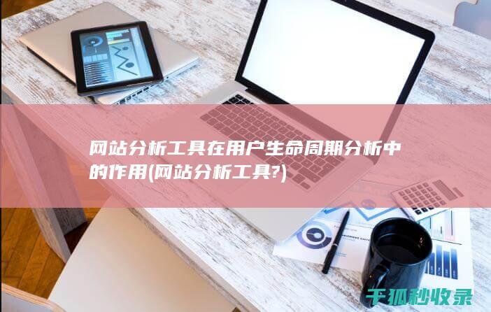 网站分析工具在用户生命周期分析中的作用 (网站分析工具?)