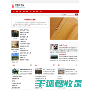进道若退网