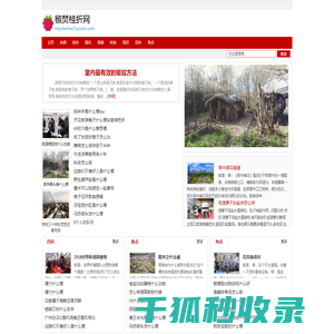 吉客印（郑州）数字科技有限公司（郑州吉客印电子商务有限公司）
