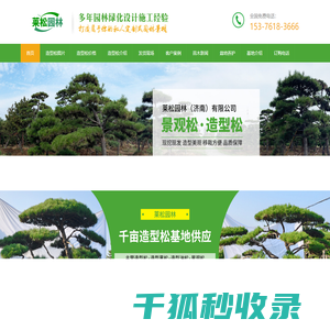 南宁青秀区造型松