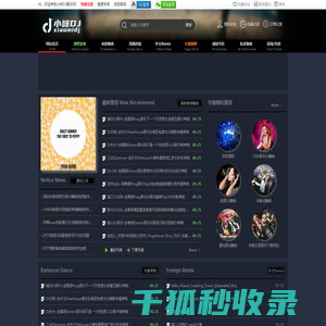 小米DJ