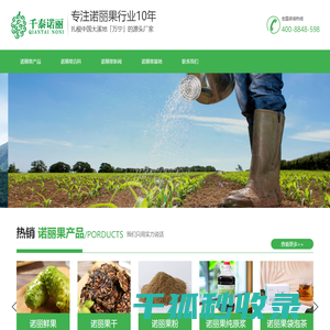 诺丽果