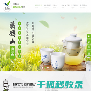 云雾茶,高山茶,黄金茶,茶叶礼品,订制厂家