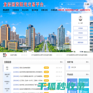 龙岩国资阳光交易平台