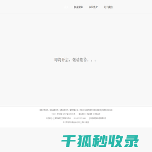 天下网游